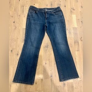 14 P LOFT denim jeans ( stretch) boot cut